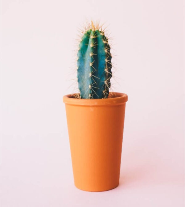 product 08